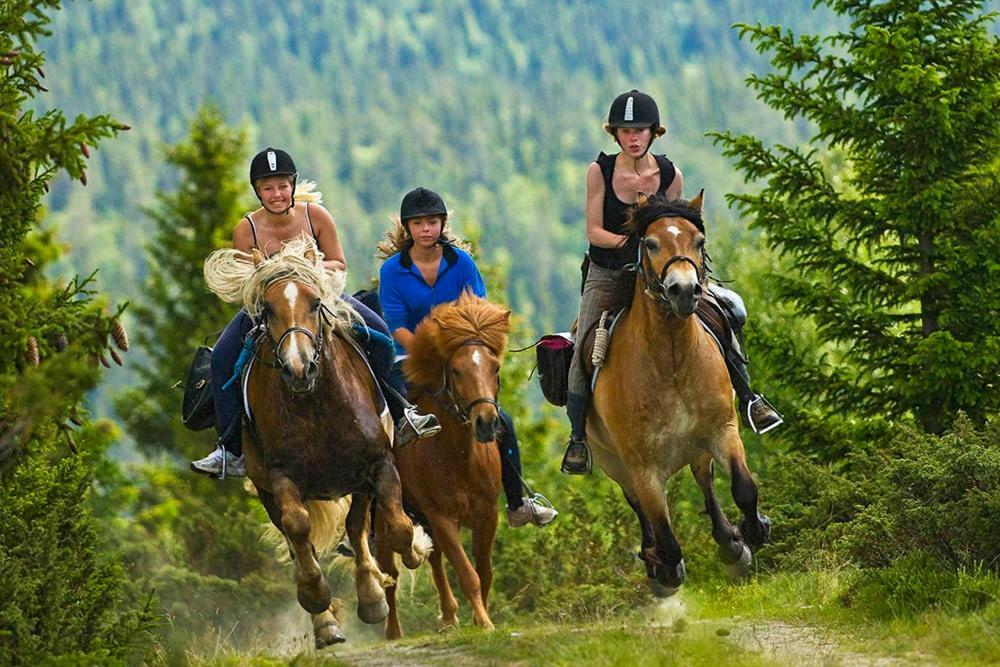 Rondane River Lodge - Rondane Gjestegard Enden Dış mekan fotoğraf