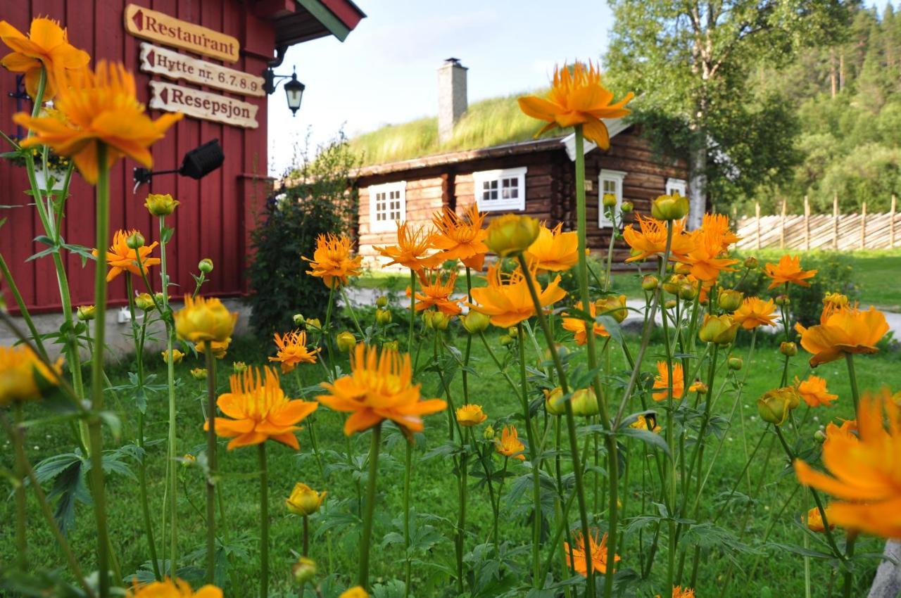 Rondane River Lodge - Rondane Gjestegard Enden Dış mekan fotoğraf