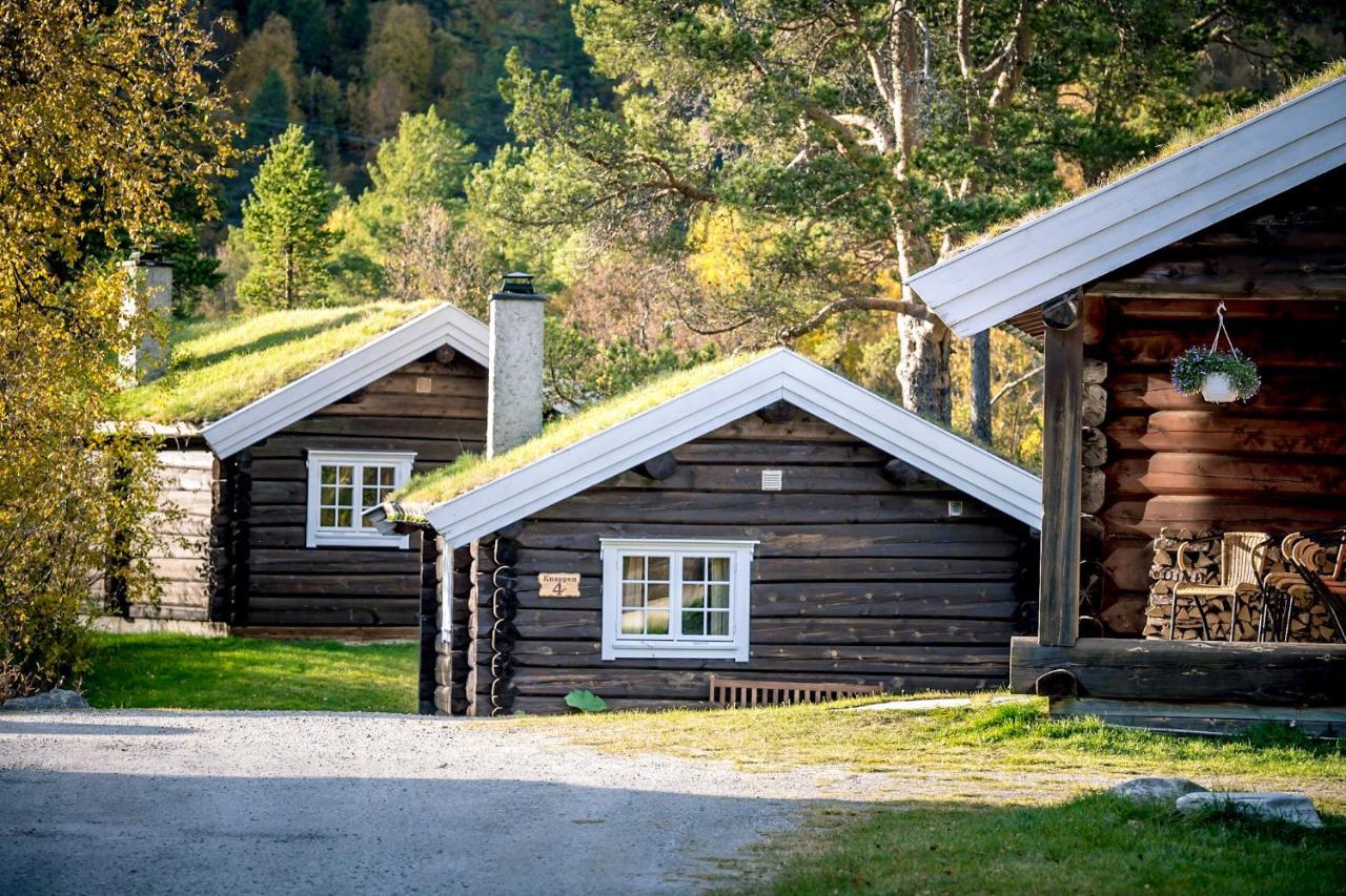 Rondane River Lodge - Rondane Gjestegard Enden Dış mekan fotoğraf