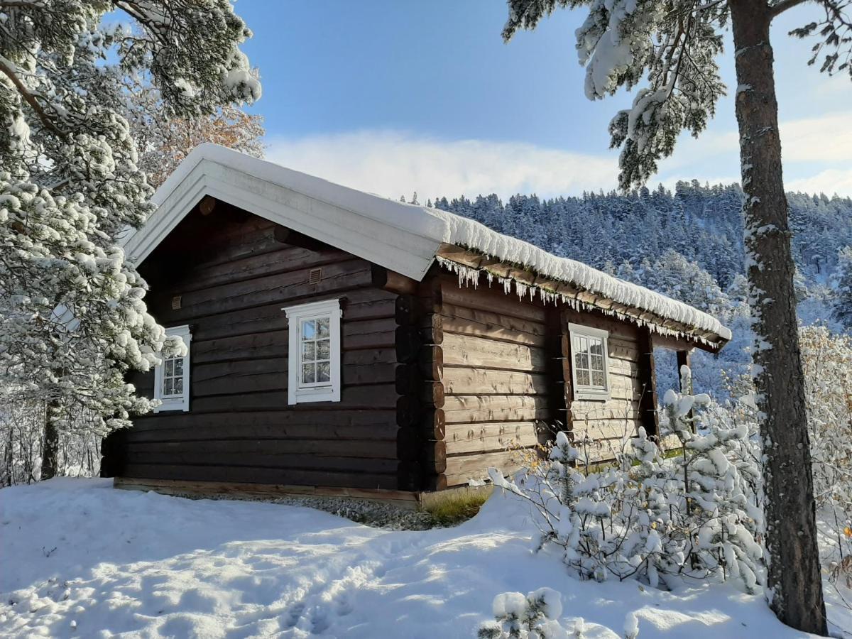 Rondane River Lodge - Rondane Gjestegard Enden Dış mekan fotoğraf