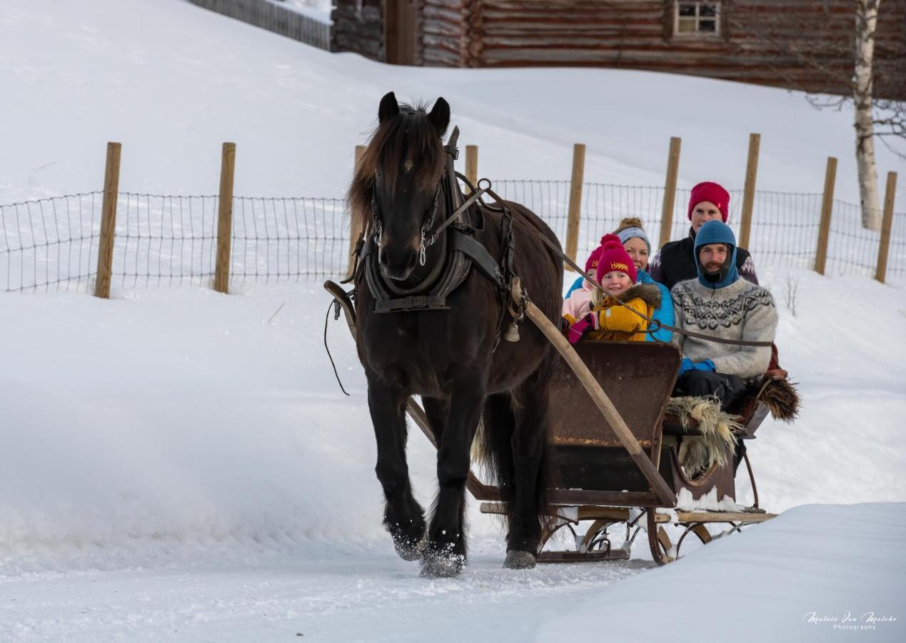 Rondane River Lodge - Rondane Gjestegard Enden Dış mekan fotoğraf