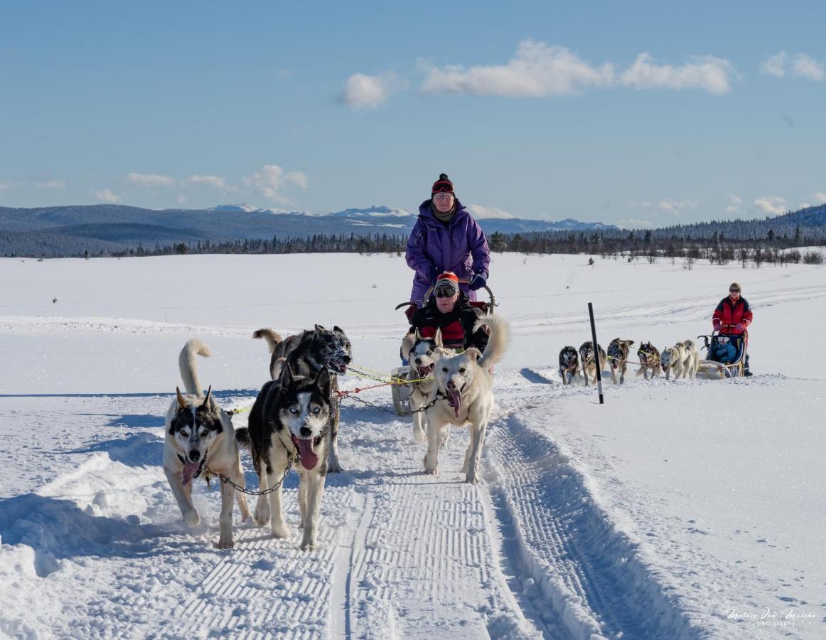 Rondane River Lodge - Rondane Gjestegard Enden Dış mekan fotoğraf